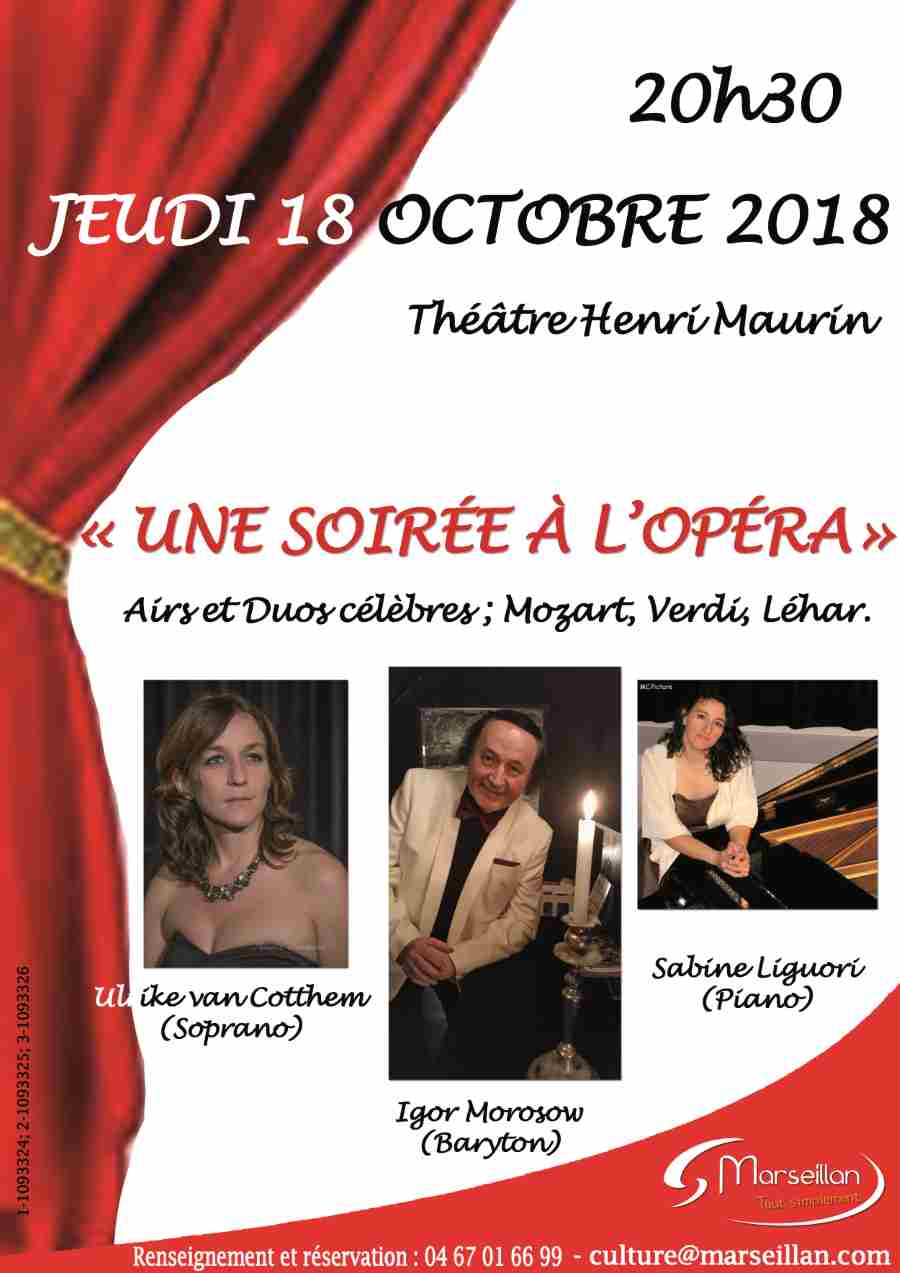 une soirée à l'opéra petit